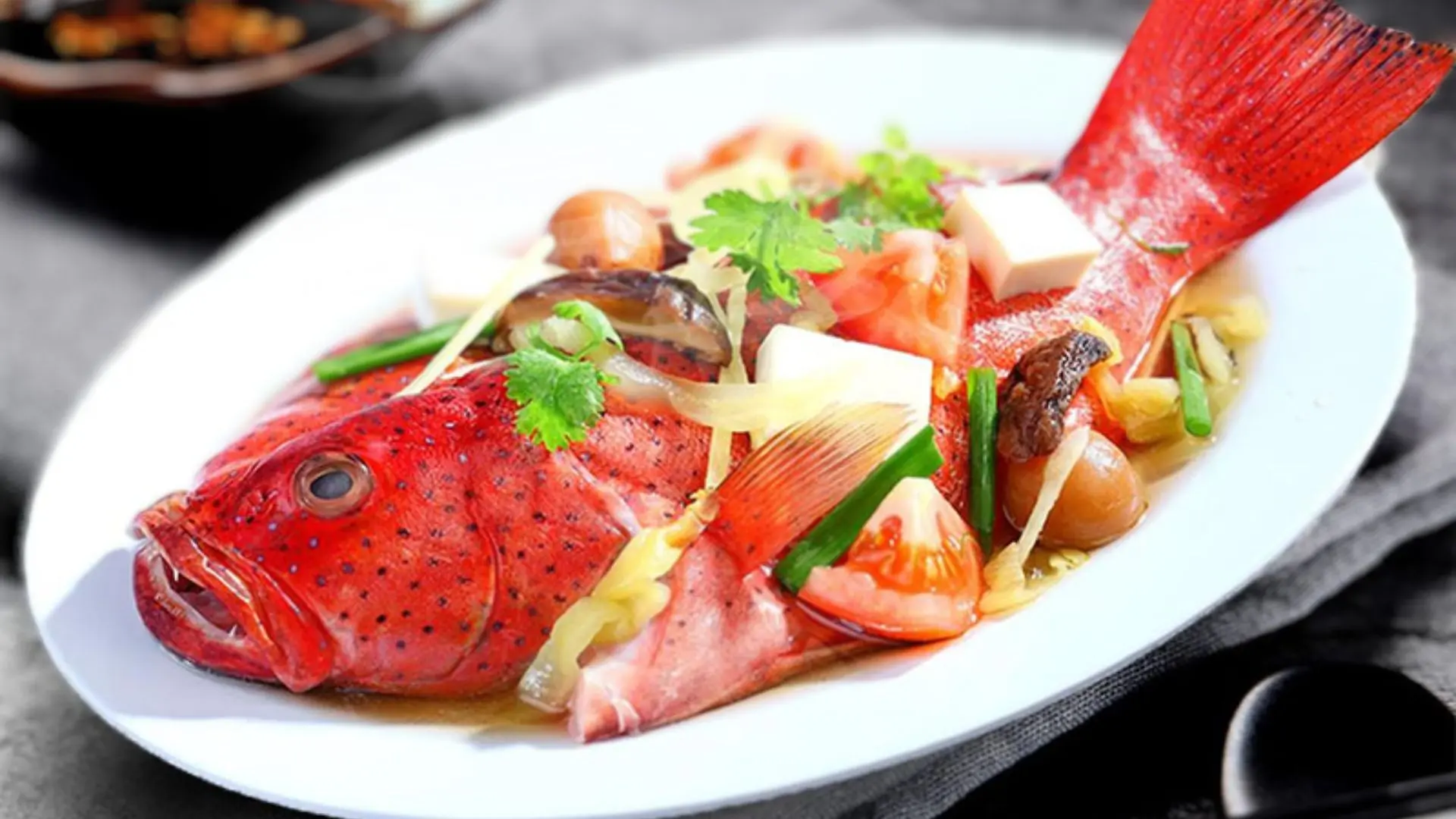 Cá mú đỏ là loài cá quý ở Côn Đảo