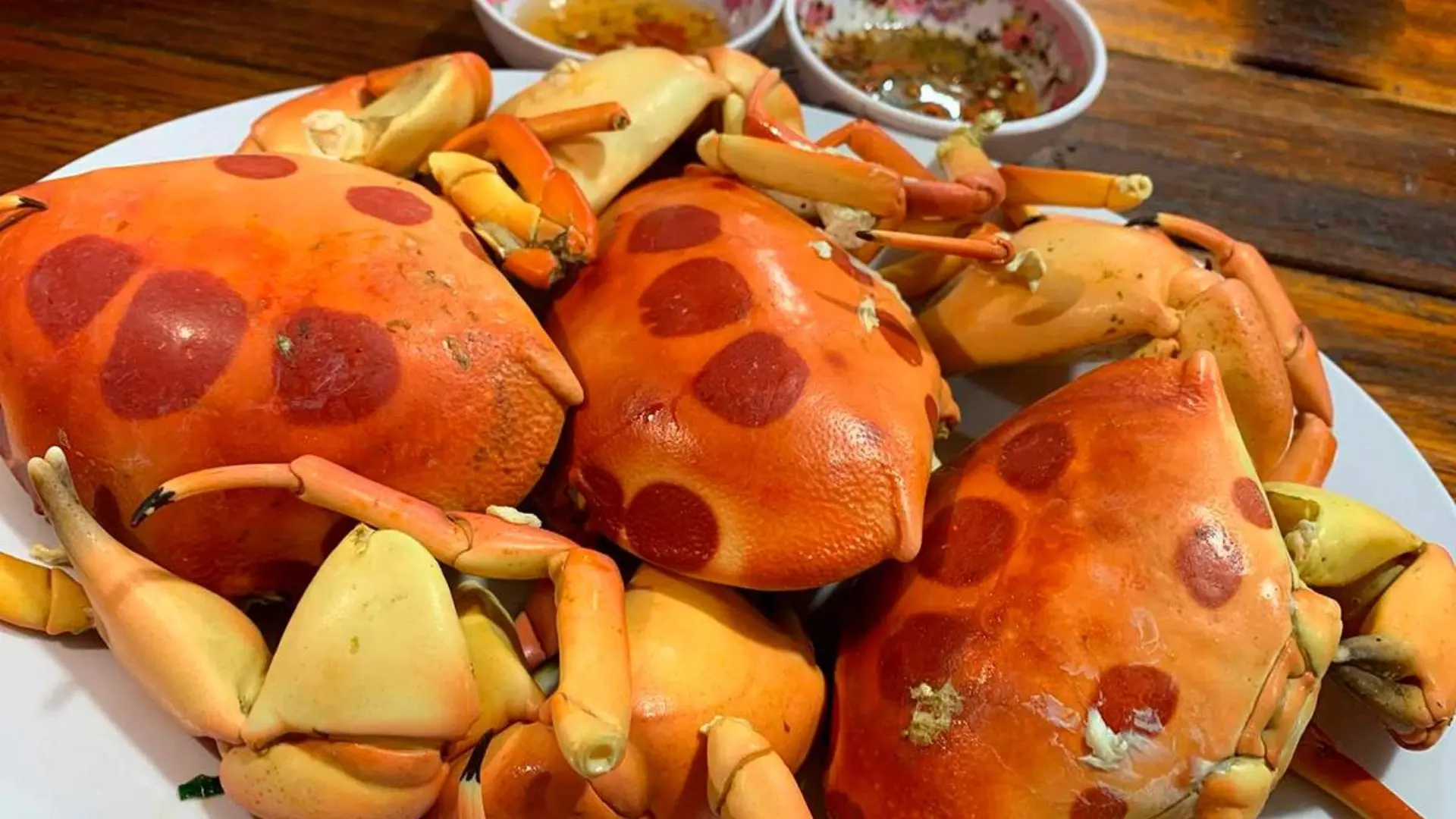 Thưởng thức cua mặt trăng - Đặc sản trứ danh ở Côn Đảo