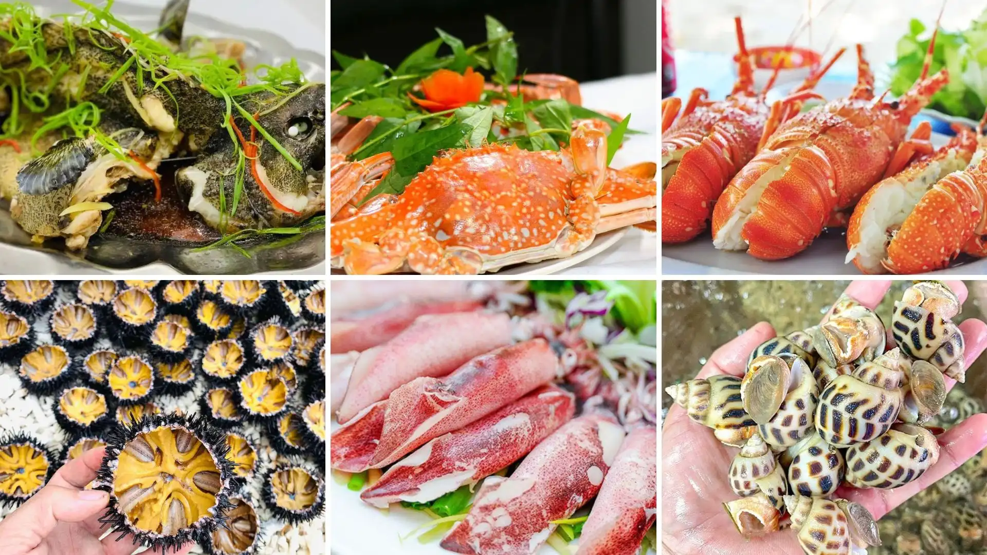 Thưởng thức hải sản tươi ngon ở đảo Hải Tặc