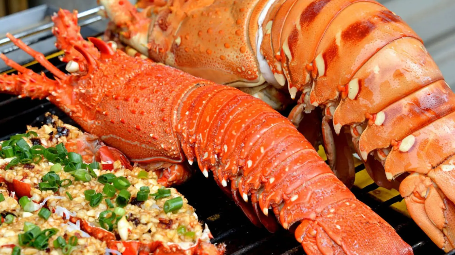 Tôm hùm Côn Đảo ngon hấp dẫn khách du lịch